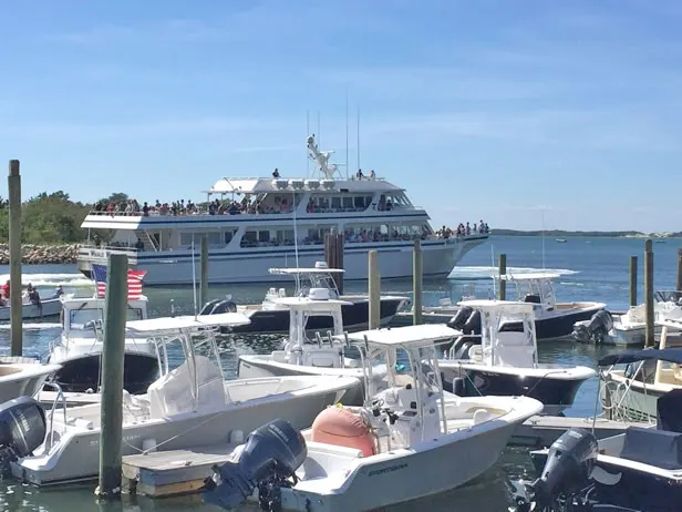 Whale watch boat at the harbor beside Mattakeese Wharf